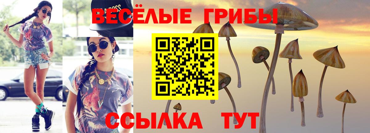Галлюциногенные грибы прущие грибы  Вход с VPN  Вышний Волочёк 